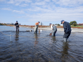 ���̎Y������������