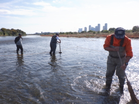 ���̎Y������������