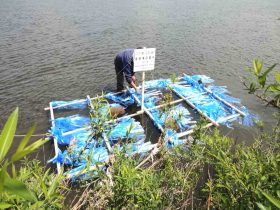 ��̎Y������������