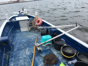 �n�}�O�����̗l�q