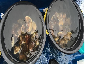 �n�}�O�����̗l�q