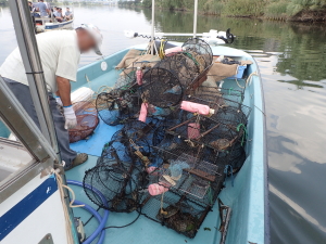 �J�j���̗l�q